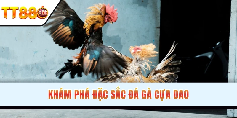 Sơ lược bộ môn đá gà cựa dao